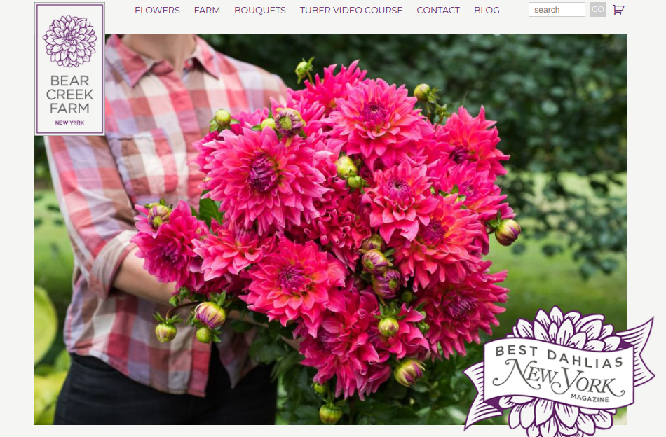 screeenshot of Bear Creek Farm website