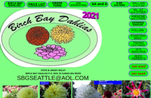 screenshot of Birch Bay Dahlias website