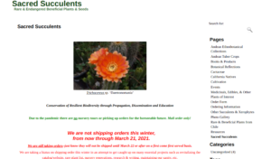 screenshot of Sacred Succulents website