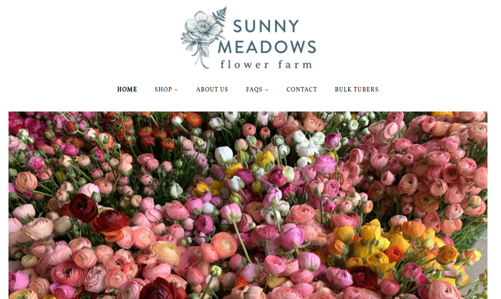 screenshot of Sunny Meadows Flower Farm website