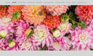 screenshot of Summer Dreams Farm website