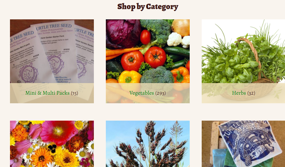 screenshot of Turtle Tree Seed website