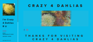 screenshot of Crazy 4 Dahlias website