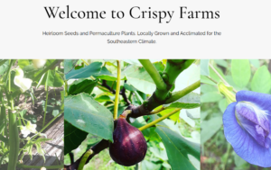 screenshot of Crispy Farms website