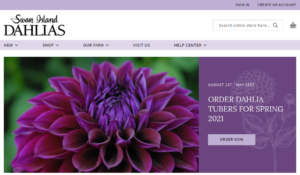 screenshot of Swan Island Dahlias website