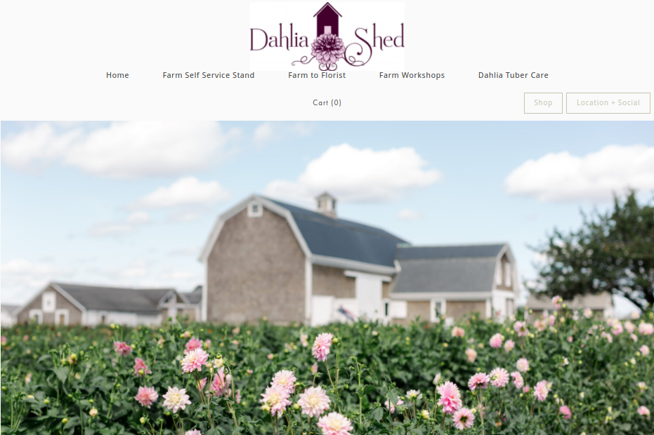 screenshot of Dahlia Shed website