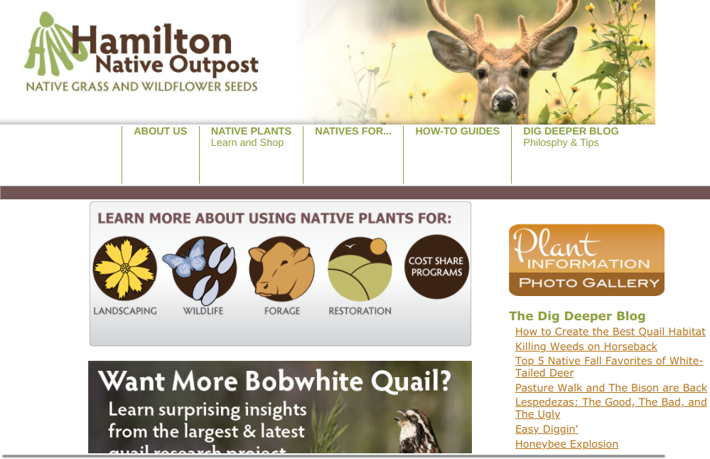 screenshot of Hamilton Native Outpost website
