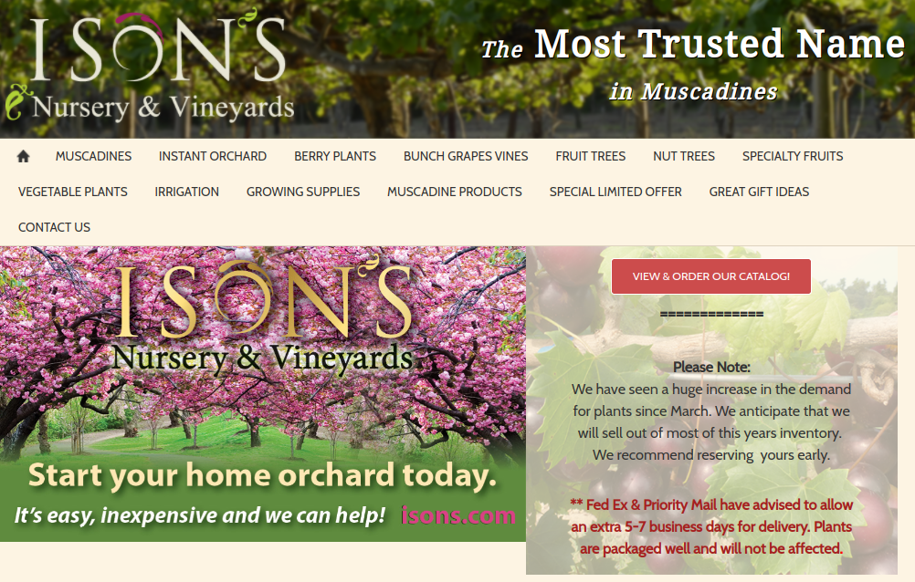 screenshot of Ison's website