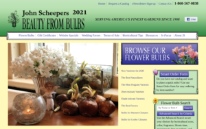 screenshot of John Scheepers Beauty From Bulbs website