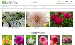 screenshot of Longfield Gardens website