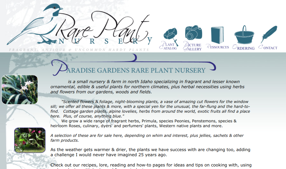 screenshot of Rare Plant Nursery website