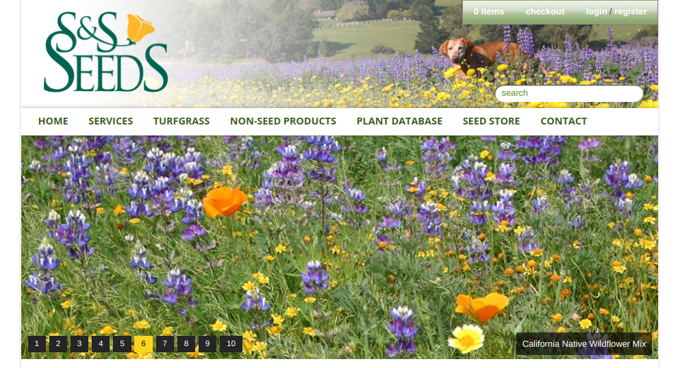 screenshot of S & S Seeds website