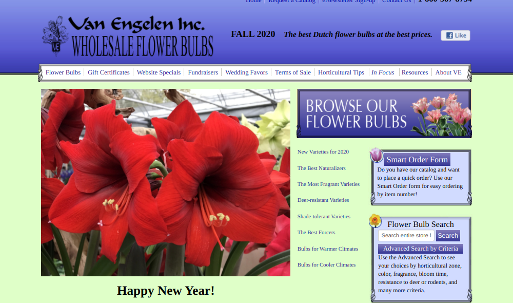 screenshot of Van Engelen website